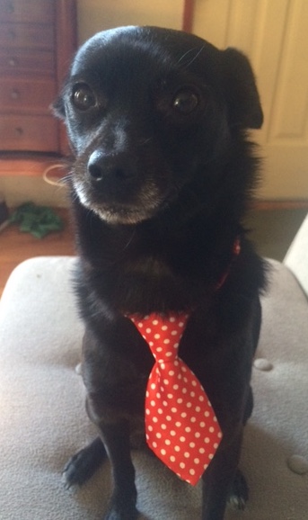 70d1a05c-7680-4cb1-81ba-764af2490c6b