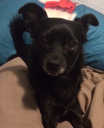 f825c2f8-21e2-437f-96c7-891310a849af