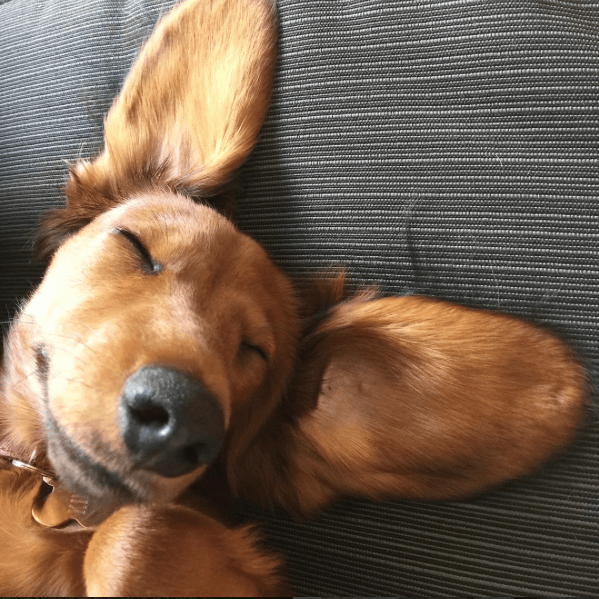 Screen Shot 2017-05-08 at 12.04.43