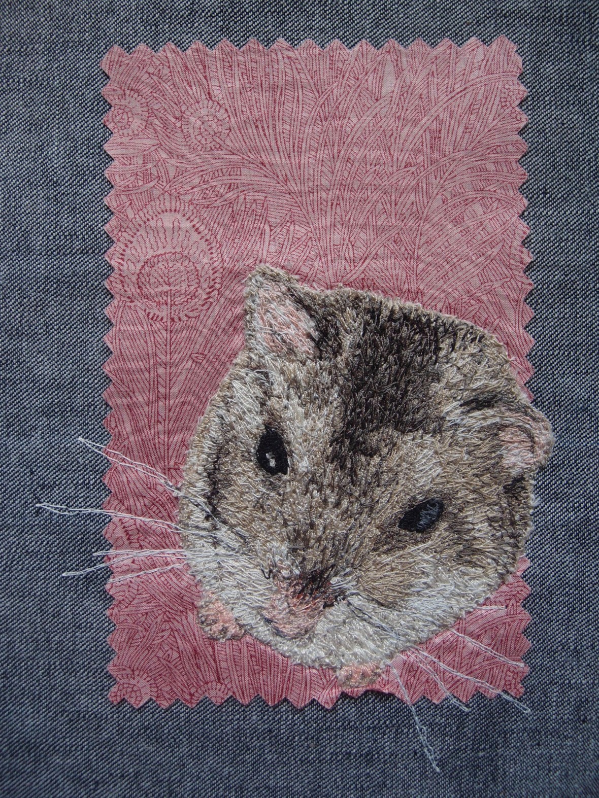 OLYMPUS DIGITAL CAMERA