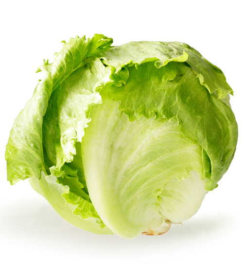 54ff047186bb0-ghk-iceberg-lettuce-xl
