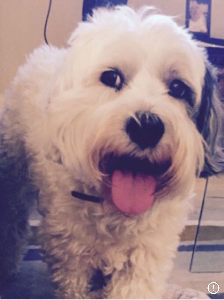 2017-11-01-PHOTO-00000002