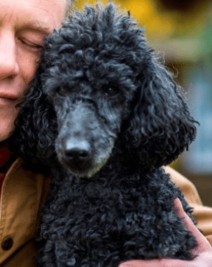 Screen Shot 2018-02-05 at 11.27.36