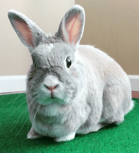 Screen Shot 2018-05-31 at 18.21.41