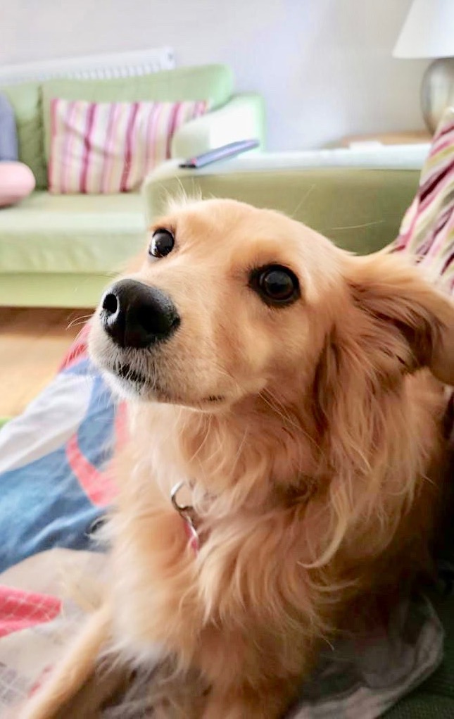 95d292ea-e542-4db0-a1da-afa1058795f3